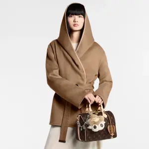  LOUIS VUITTON Speedy 25, กระเป๋าหลุยส์ รุ่นฮิต